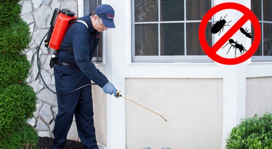 Çanakçı Bit İlaçlama böcek ilaçlama ve haşere kontrolü — ilaclama-tr.com